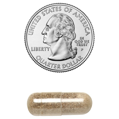 Deep Sleep Reset Bundle